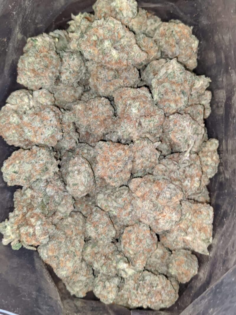 Monkey Mints - Image 6