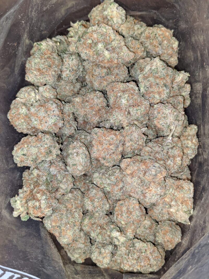 Monkey Mints - Image 5