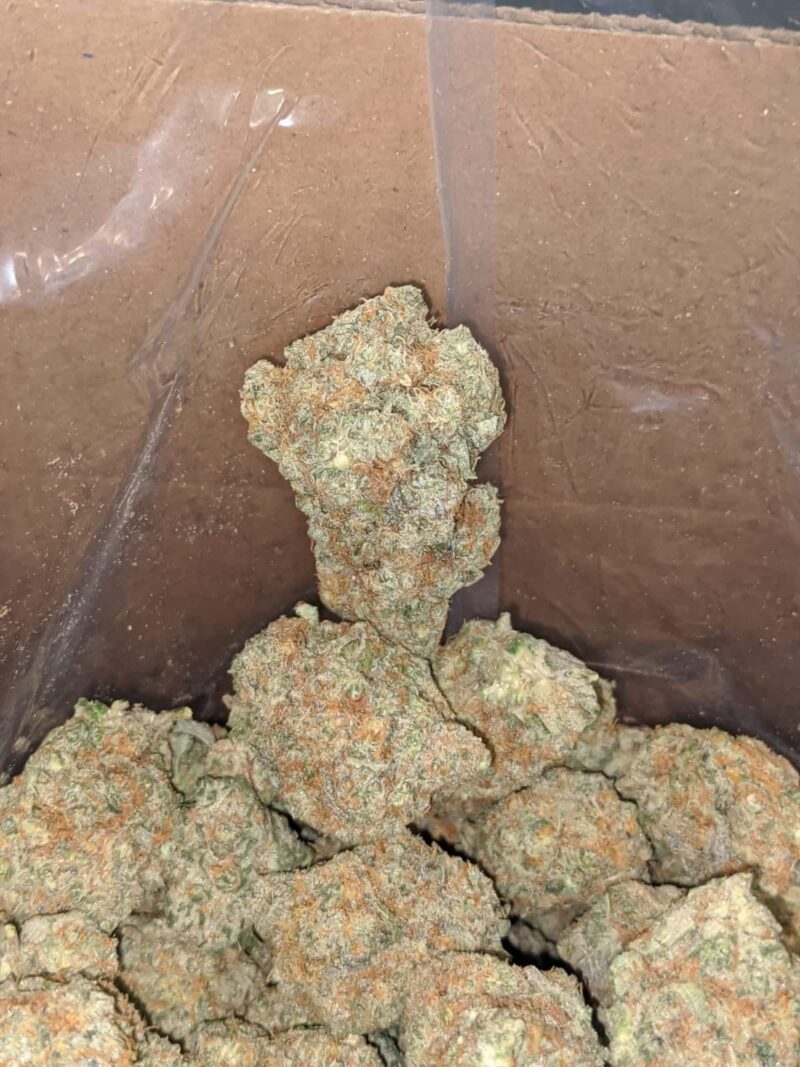 Monkey Mints - Image 4