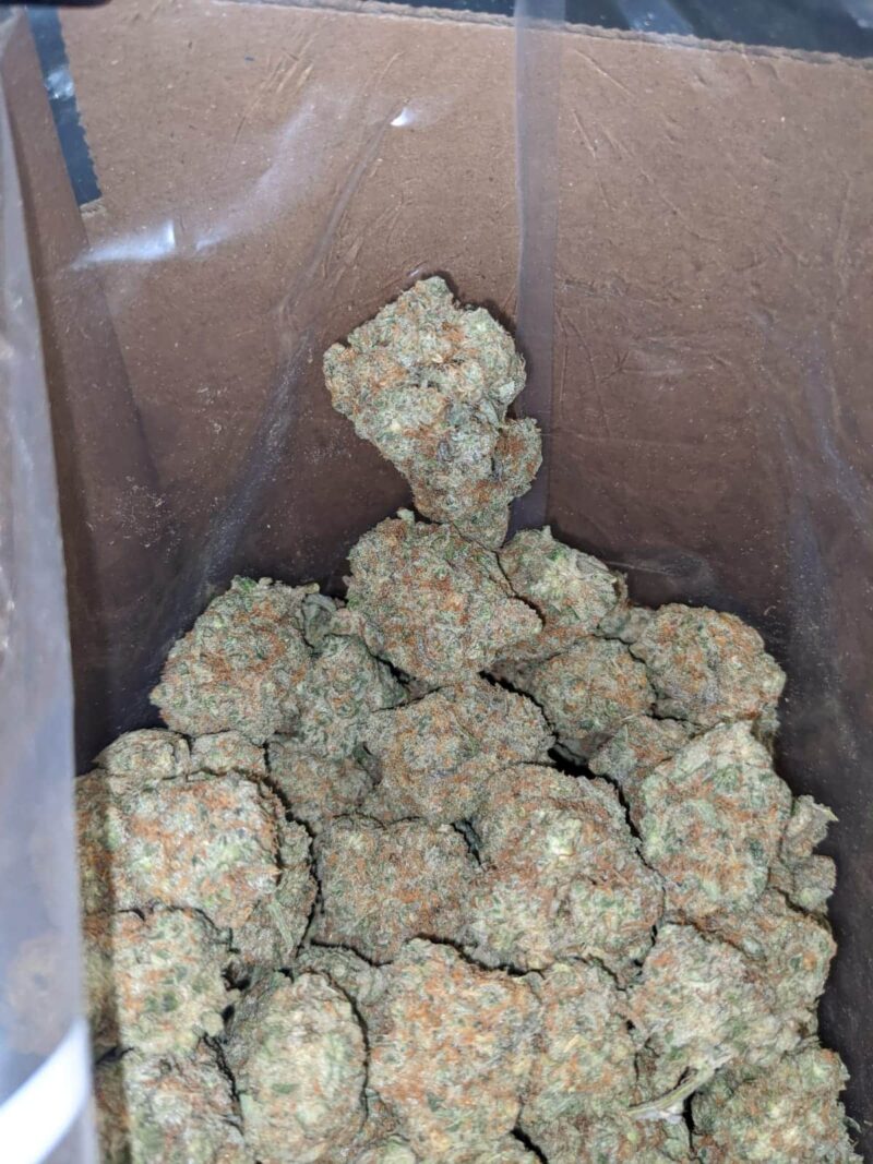 Monkey Mints - Image 7
