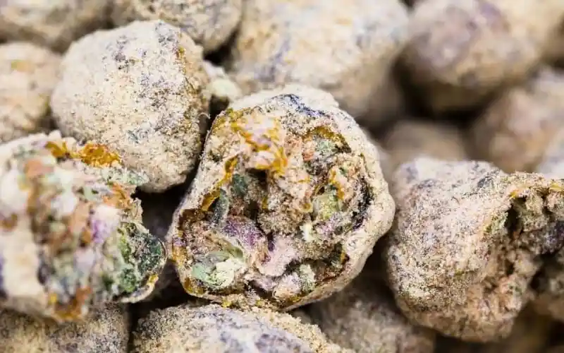 Kaws Moon Rocks