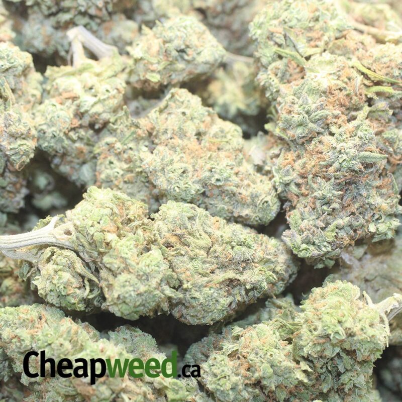 $ 68 Oz – Ninja Fruit - Image 3