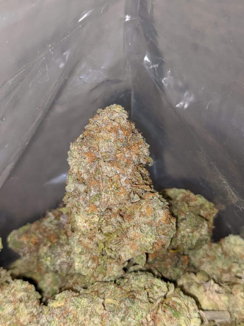 $ 68 Oz – Ninja Fruit - Image 7