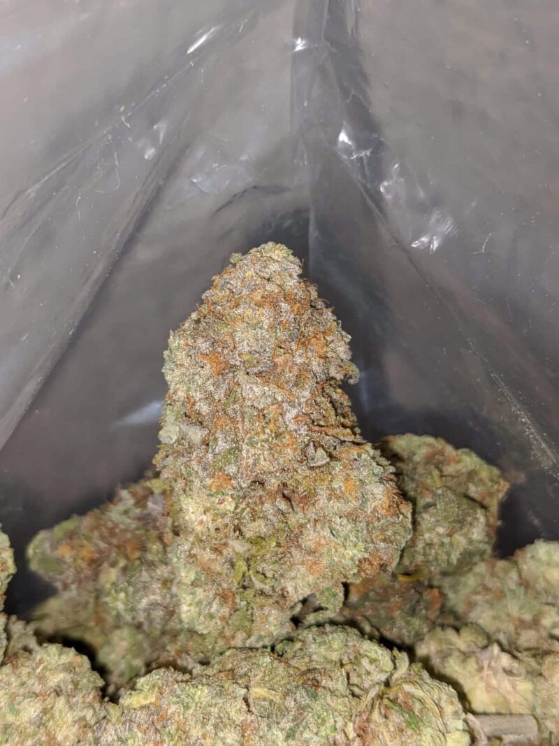 $ 68 Oz – Ninja Fruit - Image 6