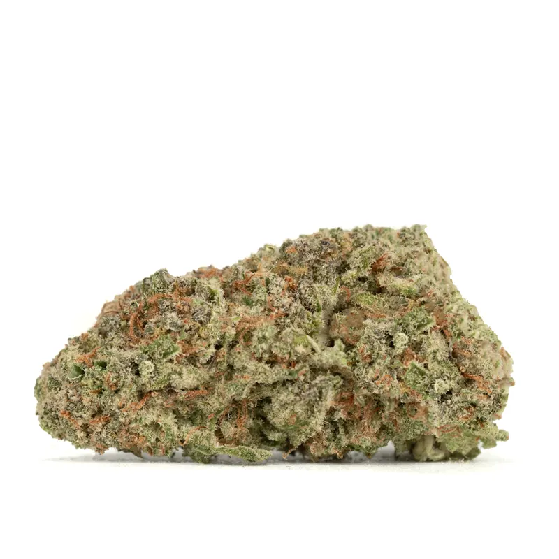 Northern Lights