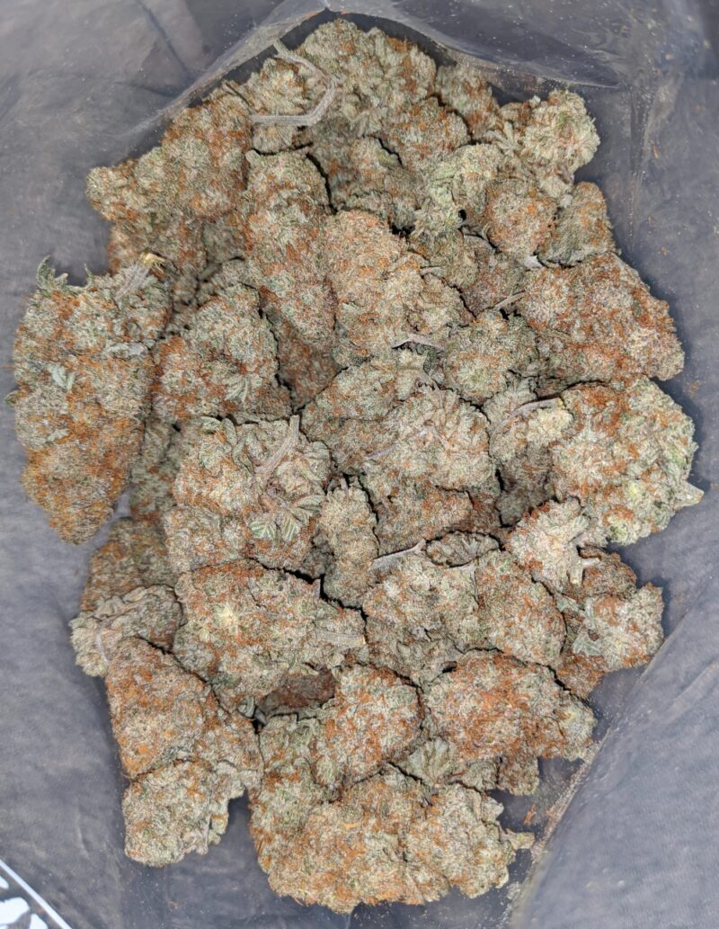 NYC Diesel - Image 6