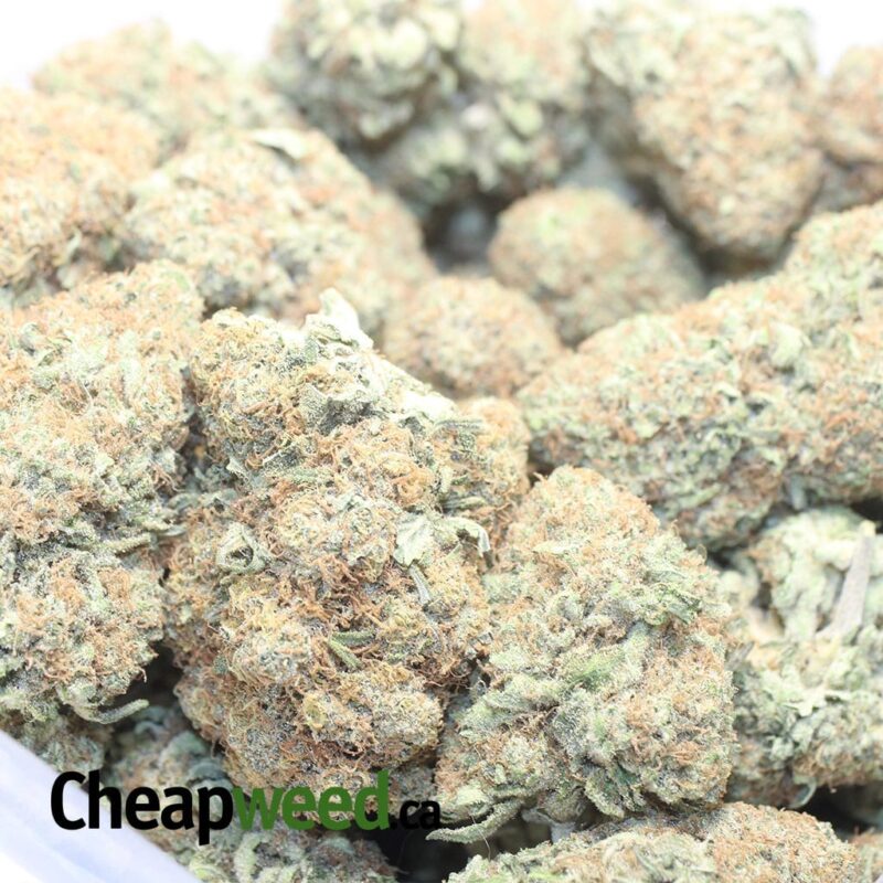 OG Cheese - Image 3