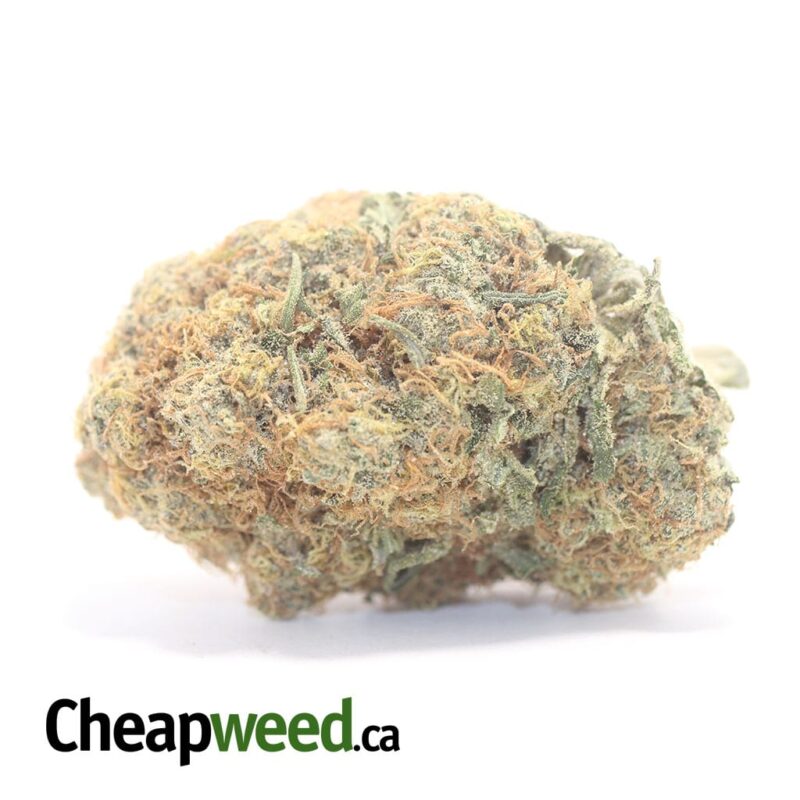 OG Cheese