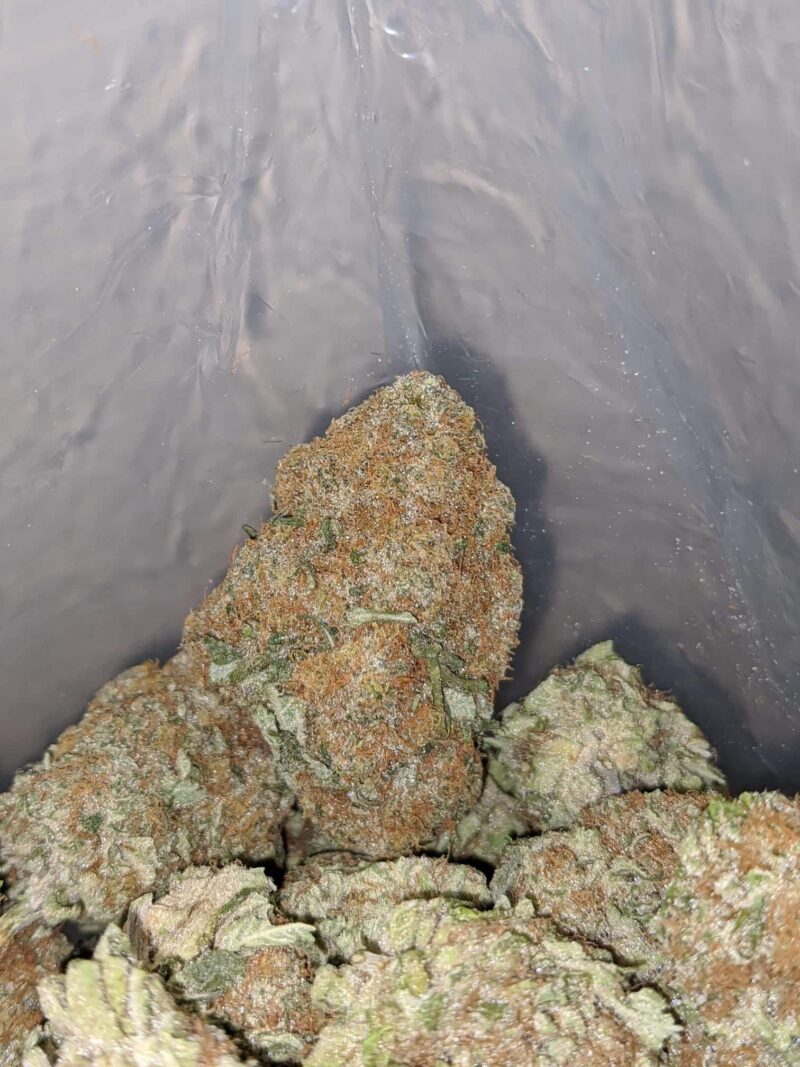 OG Cheese - Image 7