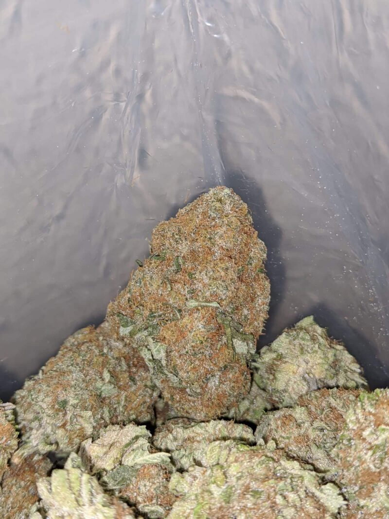 OG Cheese - Image 6