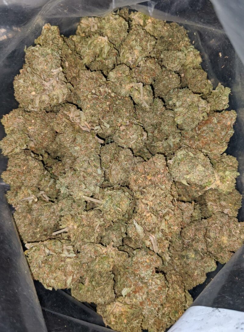 OG Wreck – *Deal Of The Day* - Image 5