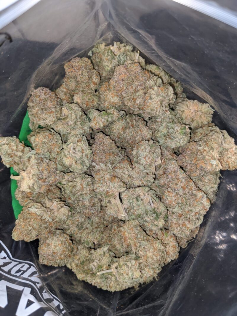 Orange Bubba - Image 5