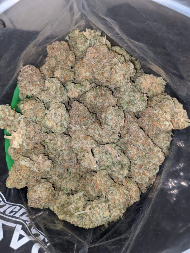 Orange Bubba - Image 4