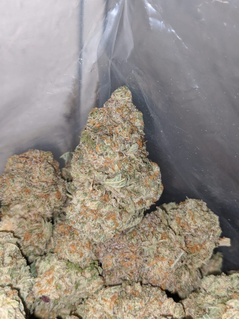 Orange Bubba - Image 7
