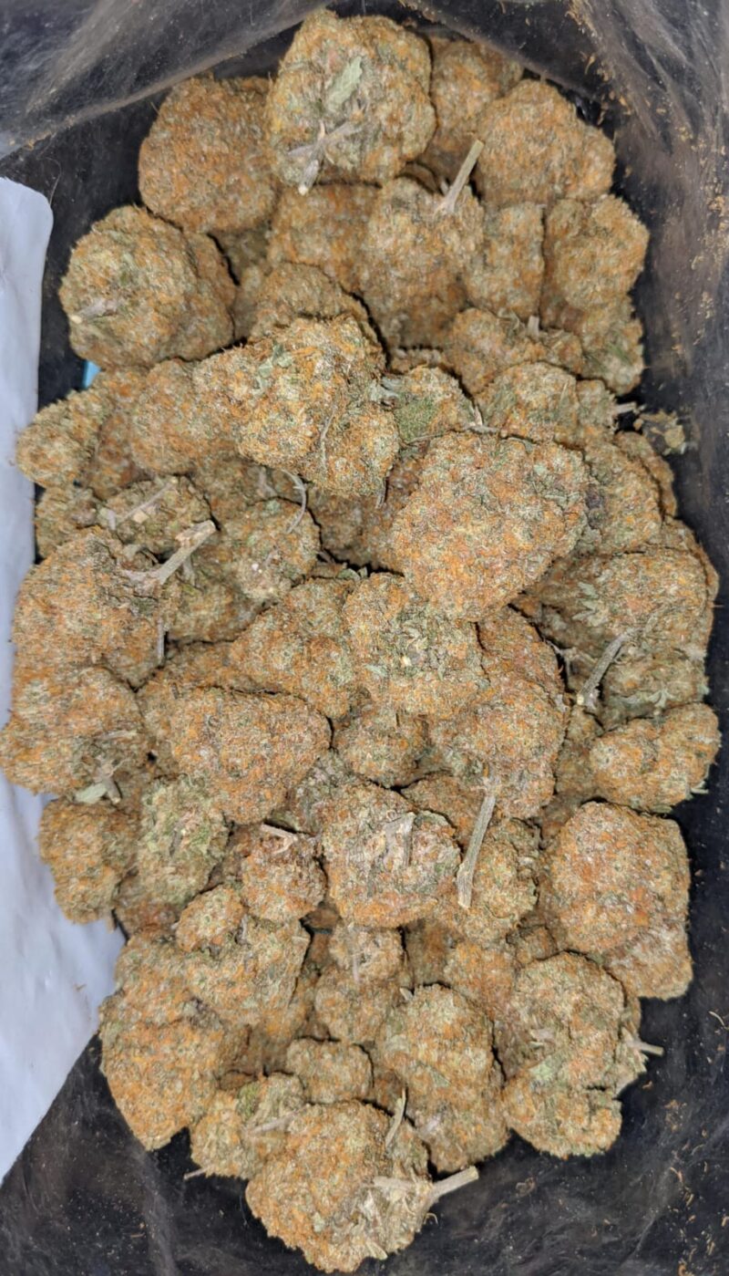 Orange Bud – *Deal Of The Day* - Image 5