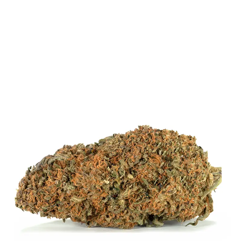 Orangeade