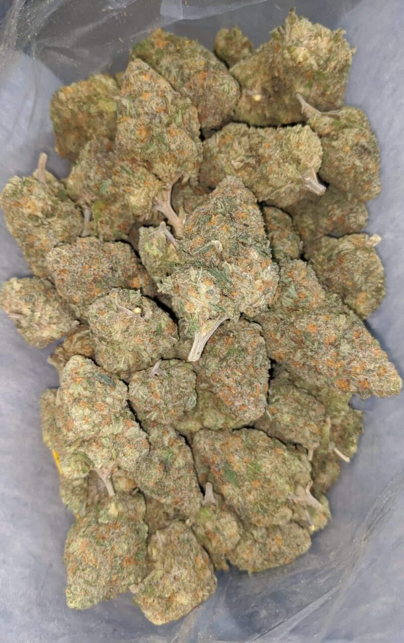 Peach Crescendo - Image 7
