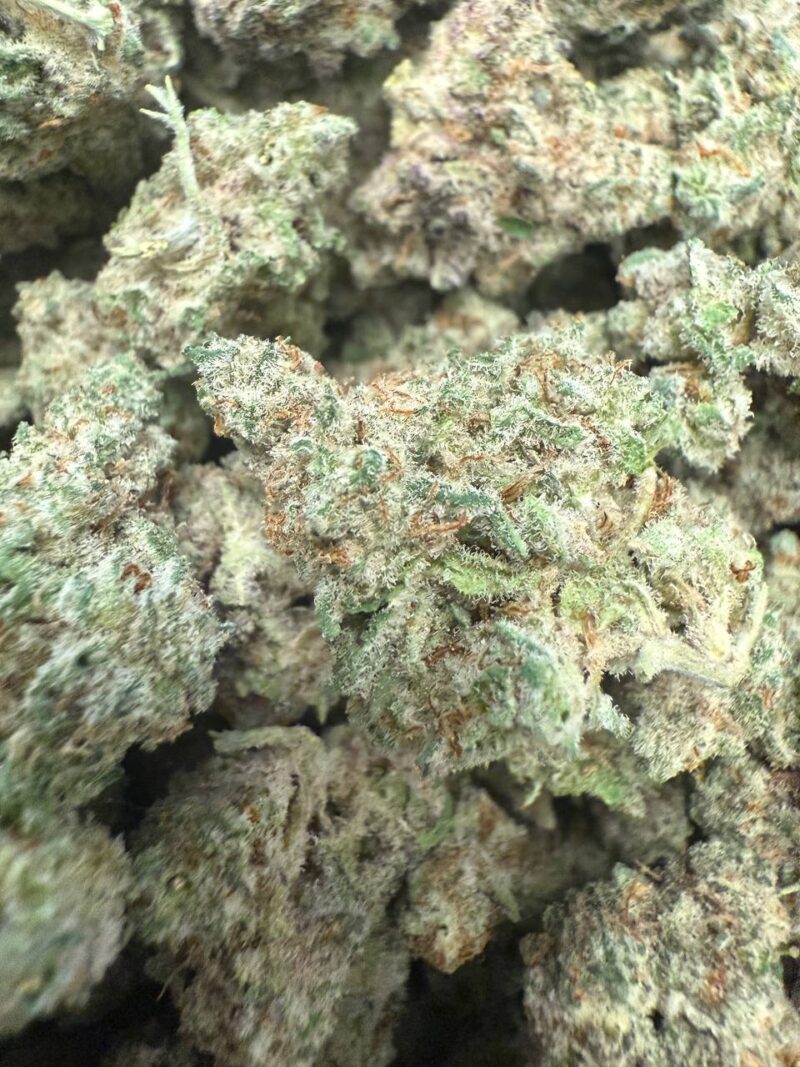 Mac Donut Smalls (AAAA+) – BULK