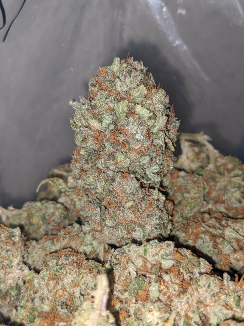 Pineapple Diesel - Image 7