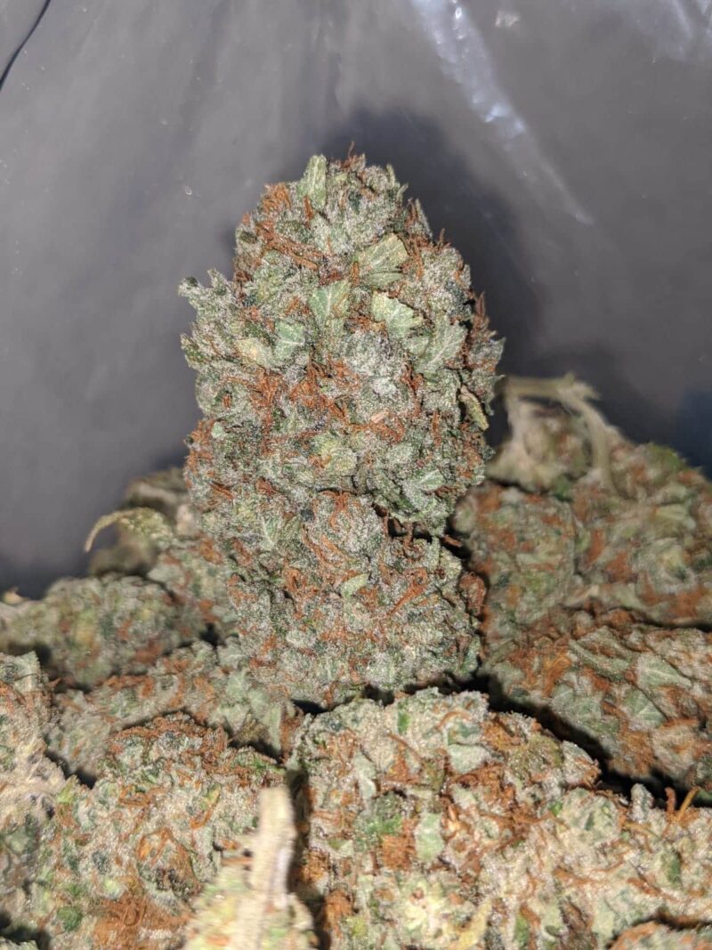 Pineapple Diesel - Image 6