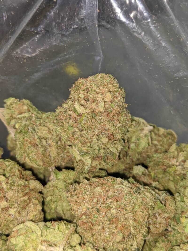 Pineapple Express AAA - Image 7