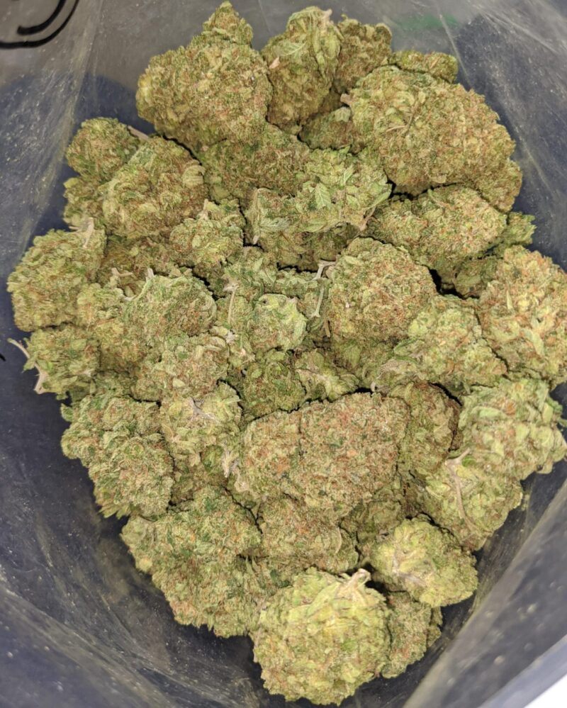 Pineapple Express AAA - Image 6