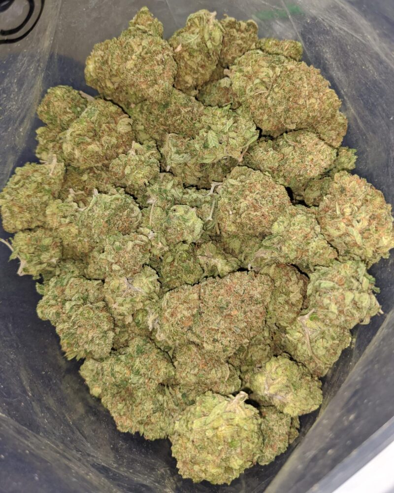 Pineapple Express AAA - Image 5
