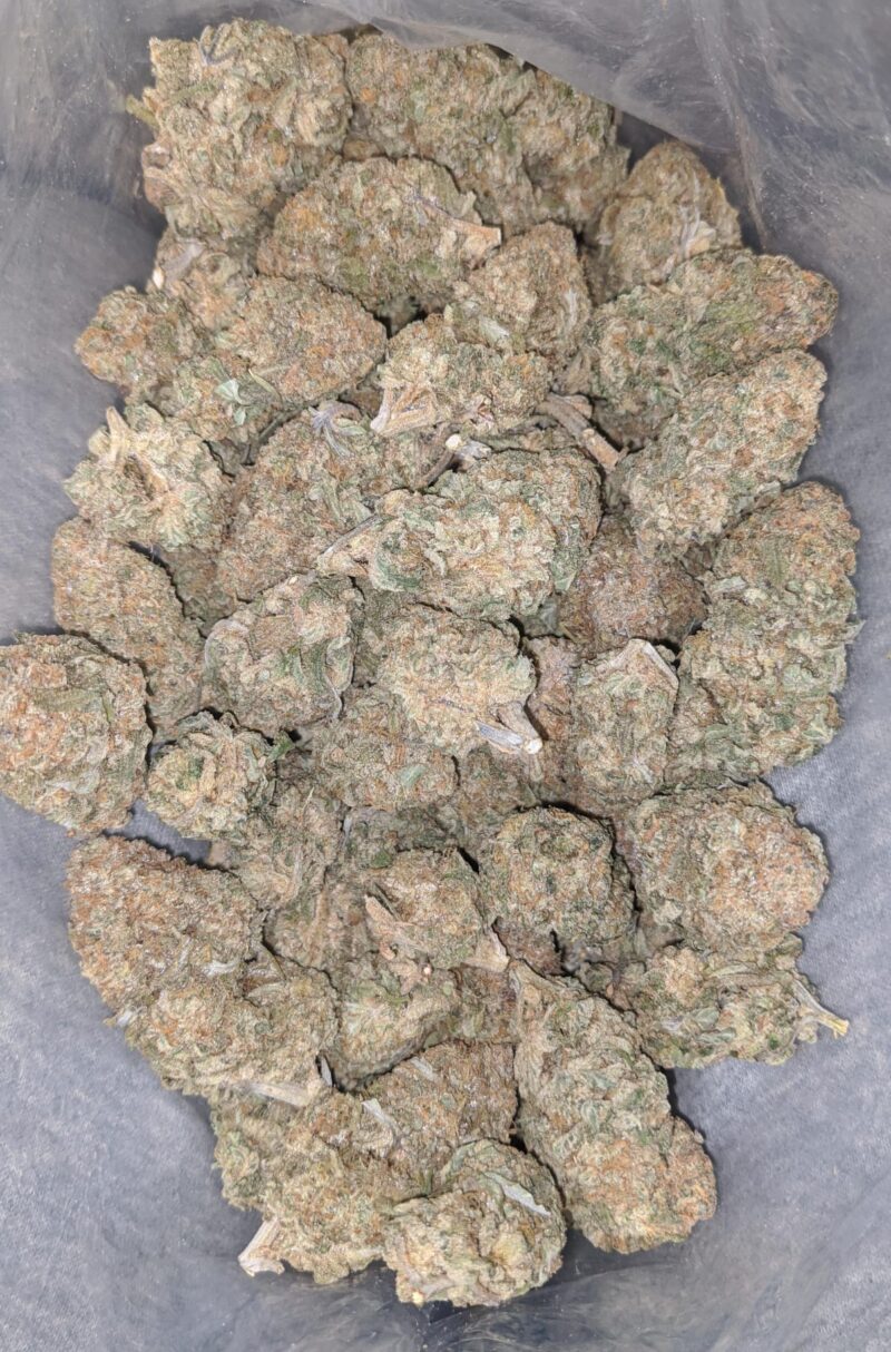 Pineapple Jack - Image 6