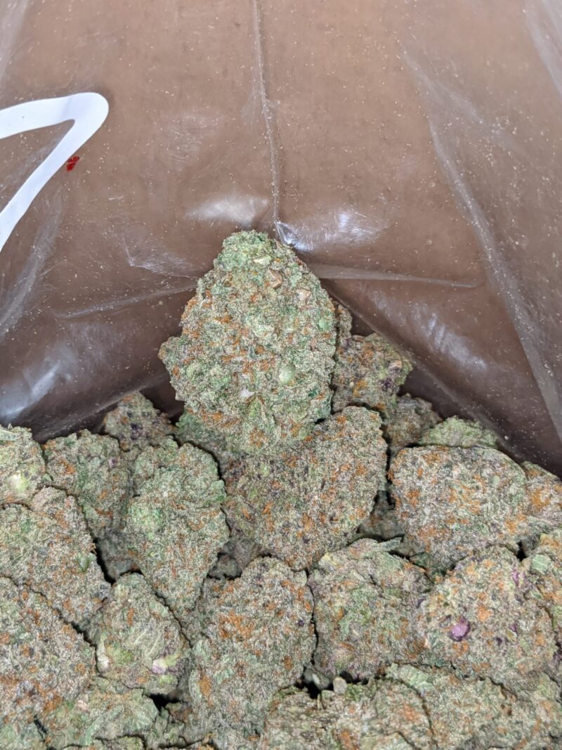 Pink Bubblegum - Image 4