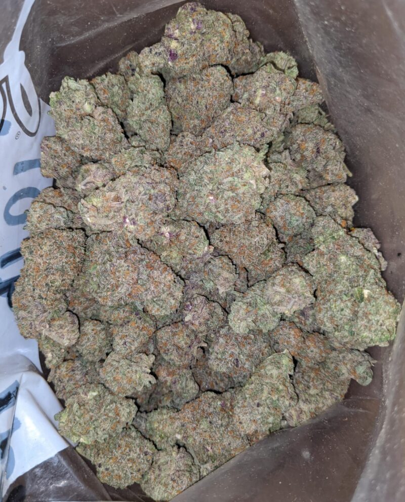 Pink Bubblegum - Image 7