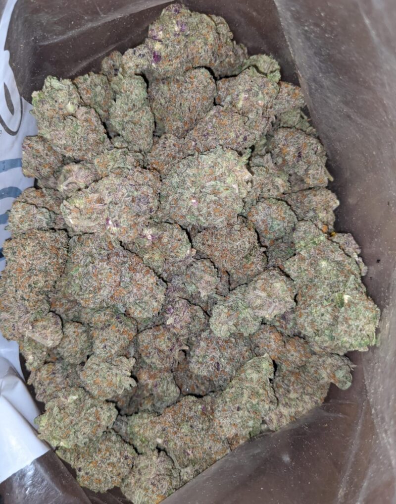 Pink Bubblegum - Image 6