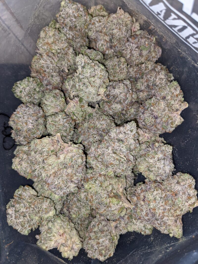 Pink Goo AAAA #2 - Image 5