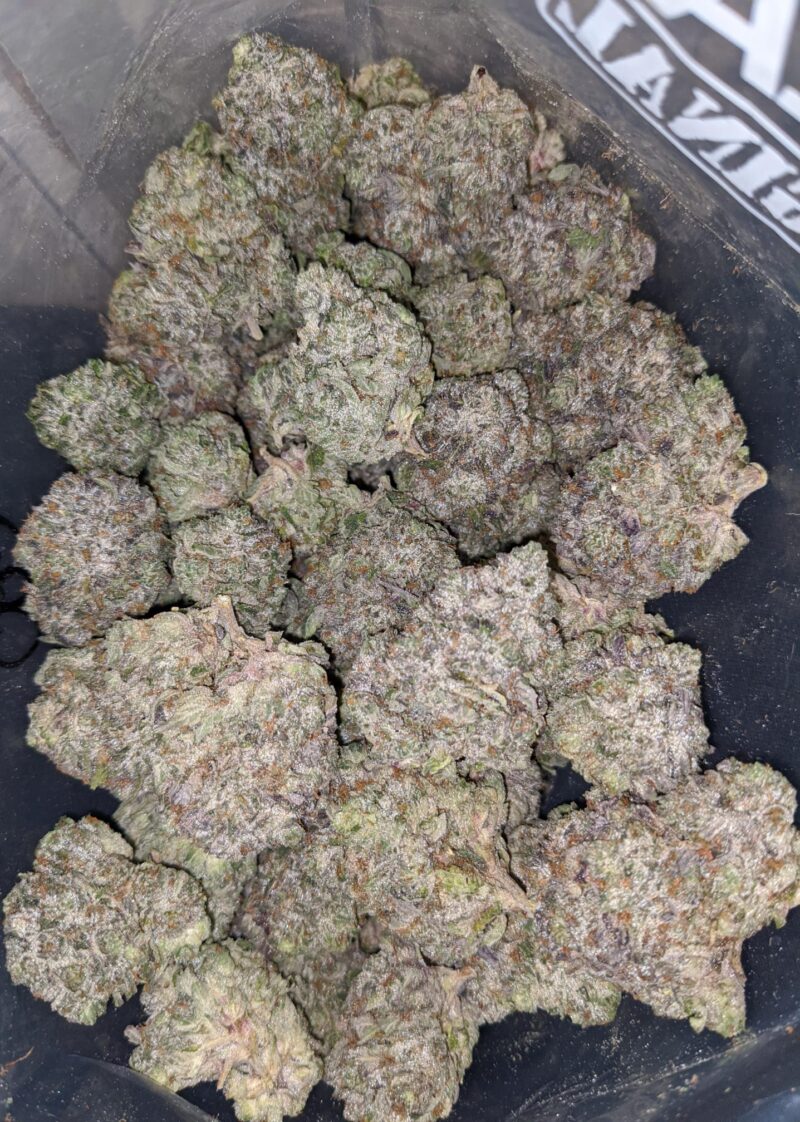 Pink Goo AAAA #2 - Image 4
