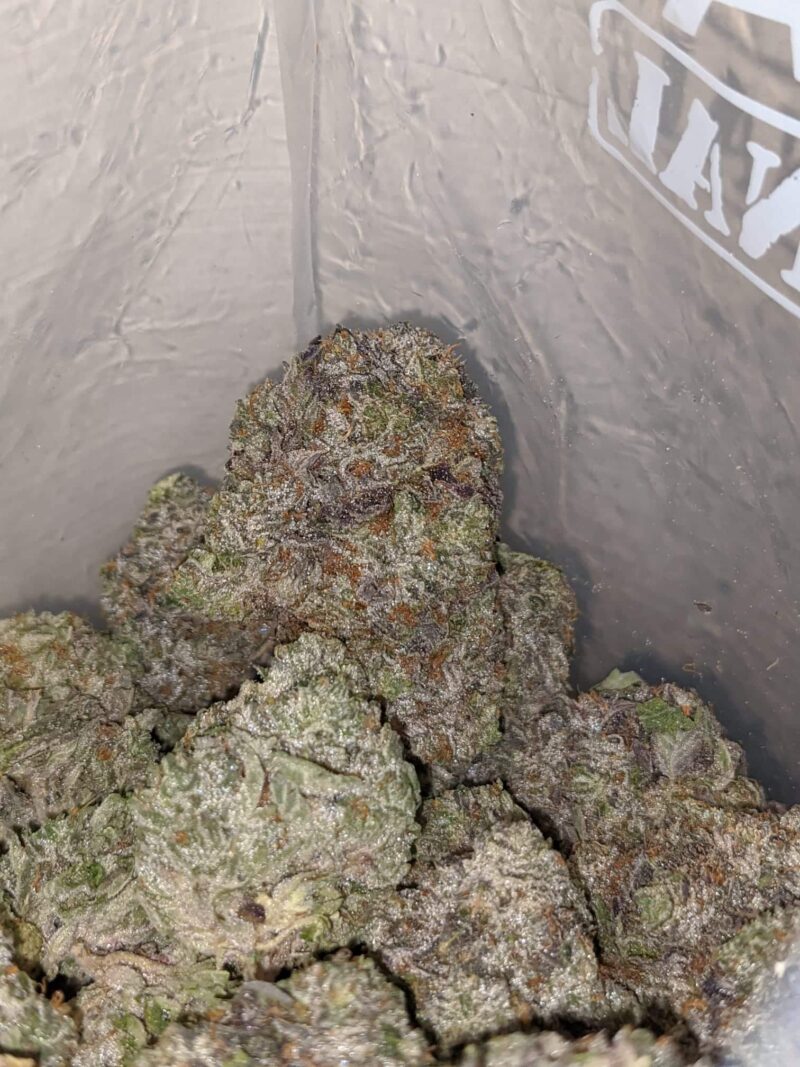 Pink Goo AAAA #2 - Image 7