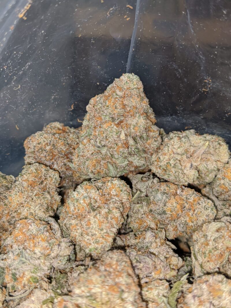 Pot Of Gold - Image 7