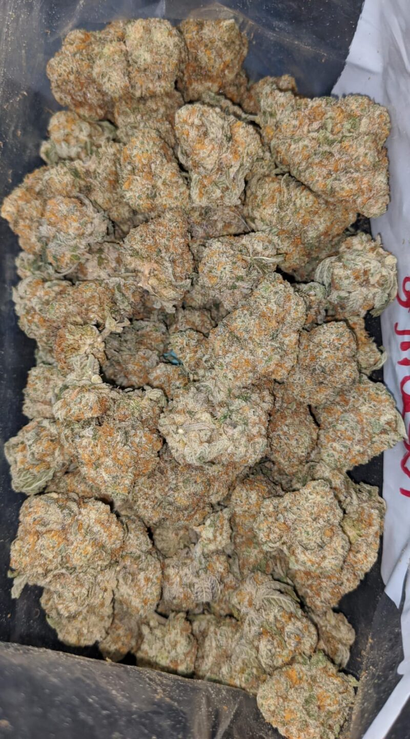 Pot Of Gold - Image 5
