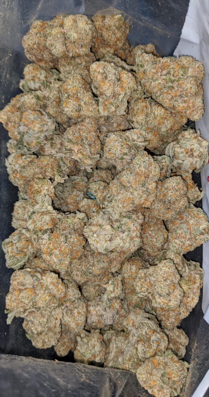 Pot Of Gold - Image 4