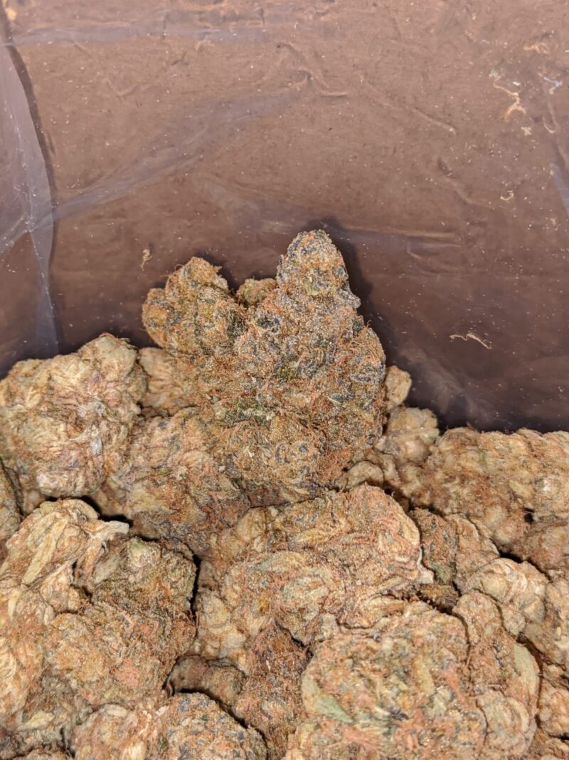 Pugs Breath Bulk Special - Image 4
