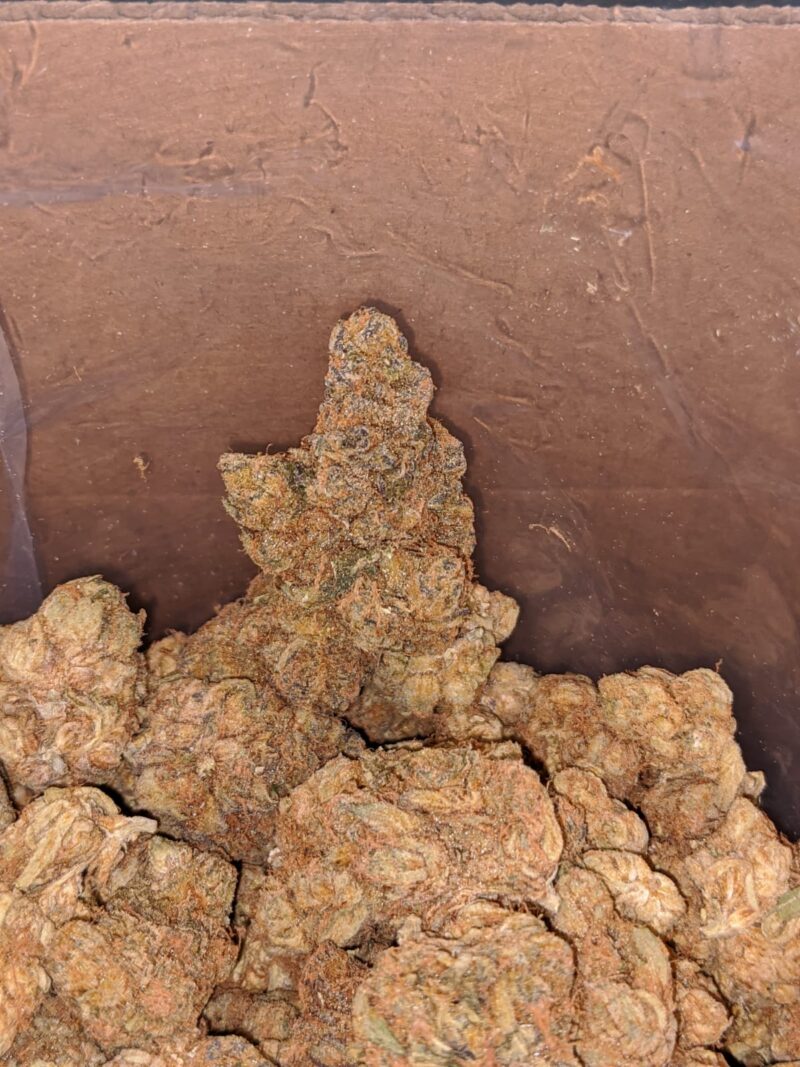 Pugs Breath Bulk Special - Image 7