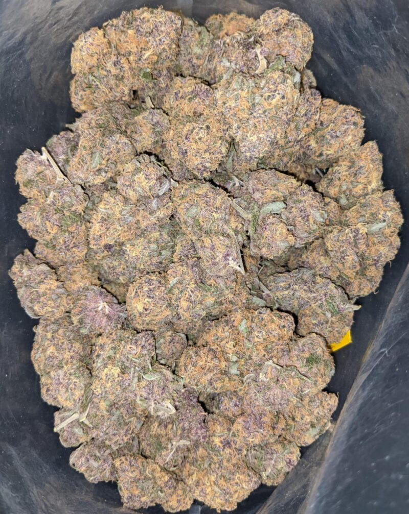 Purple Acai Berry - Image 6