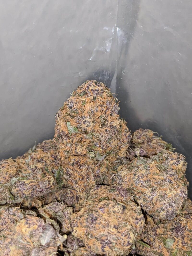Purple Acai Berry - Image 7