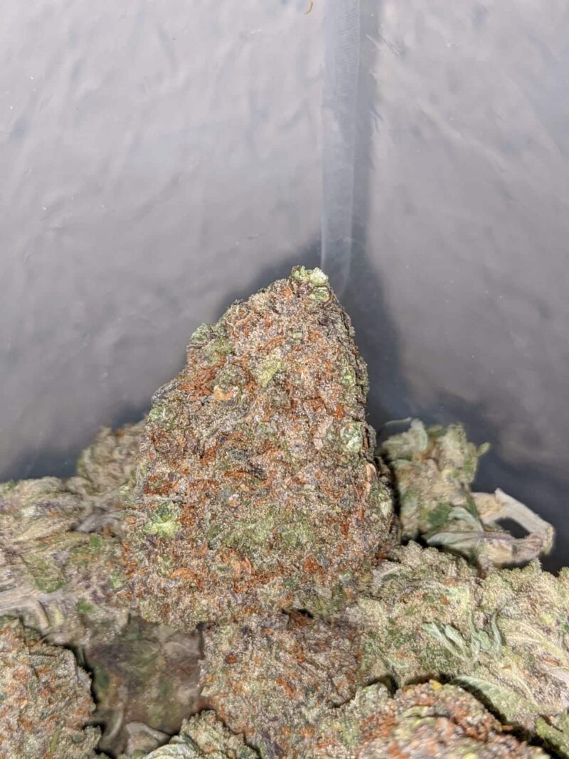 Purple Crack - Image 7