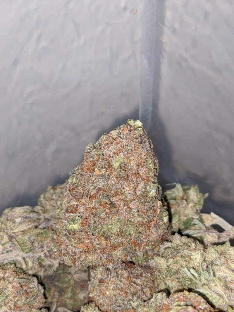 Purple Crack - Image 6