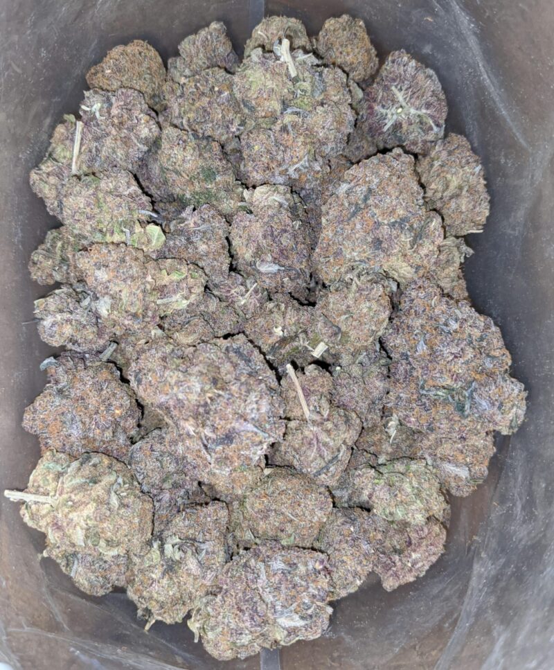 Purple Diesel - Image 7