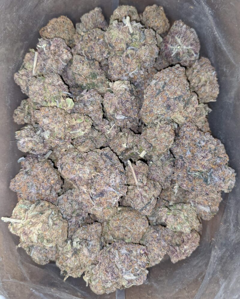 Purple Diesel - Image 6