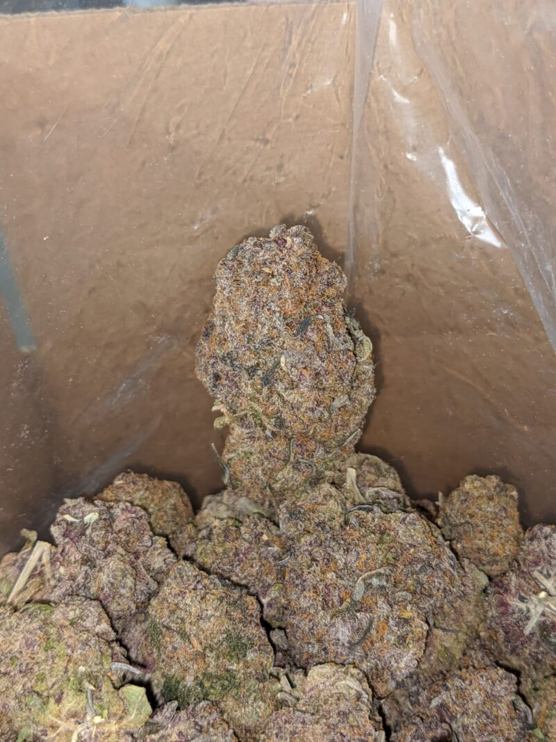 Purple Diesel - Image 4