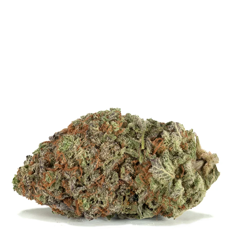 Purple Haze