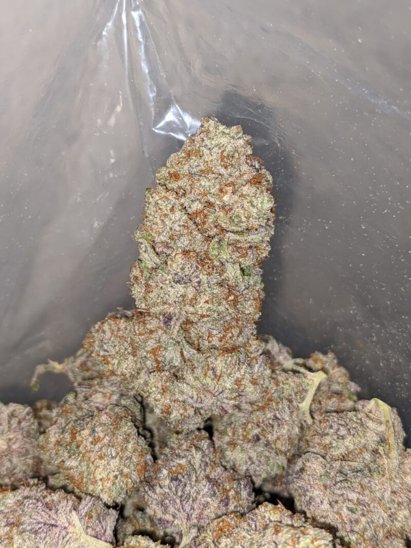 Purple Icewreck - Image 6