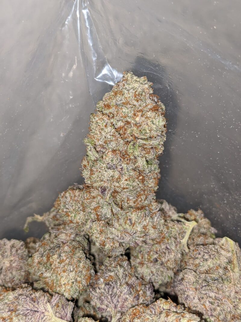 Purple Icewreck - Image 7