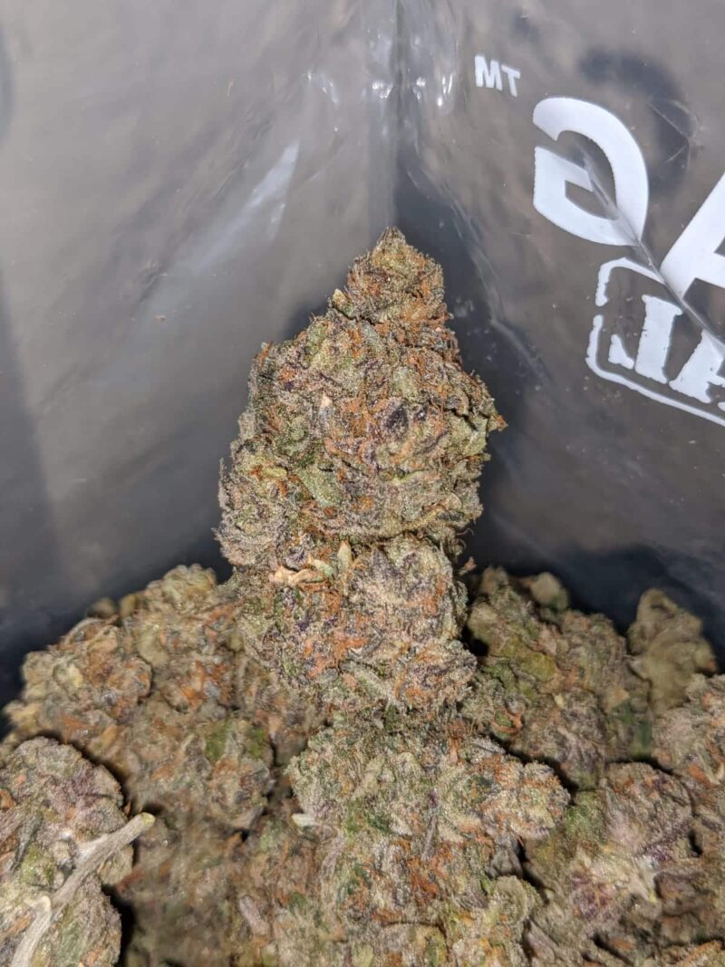 Purple Jetfuel - Image 7